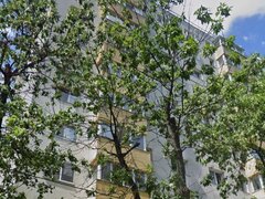 LACUL TEI INTRE PARCUL CIRCULUI SI PARCUL TEI