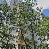 LACUL TEI INTRE PARCUL CIRCULUI SI PARCUL TEI